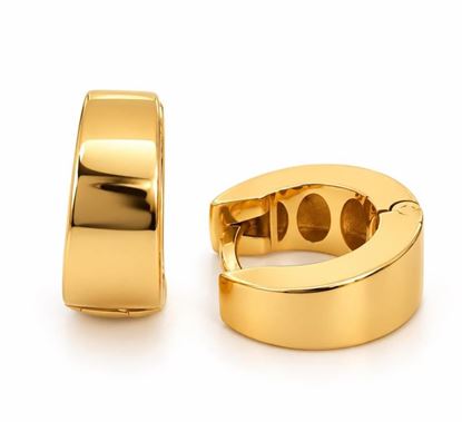 Imagen de PEN-409 - PENDIENTES